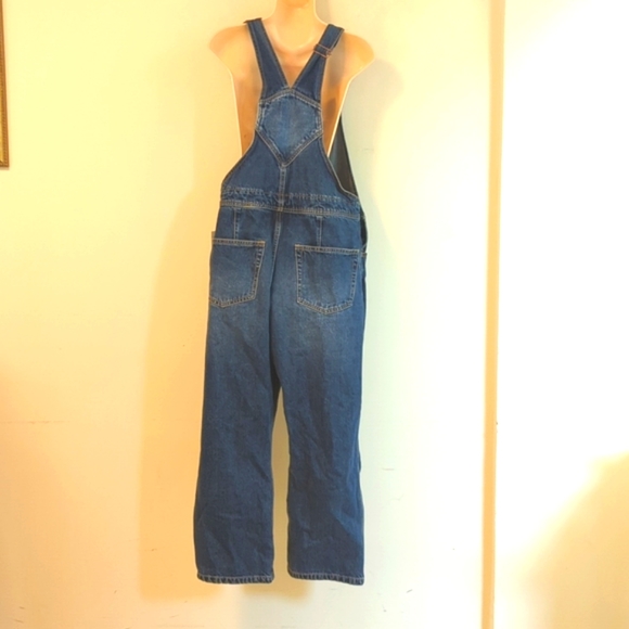 BDG Urbanoutfitters Overalls - Picture 3 of 16